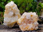 Natural Limonite Quartz Cluster with Goethite Inclusions x 12 From Solwezi, Zambia - Toprock Gemstones and Minerals 