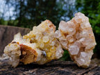 Natural Limonite Quartz Cluster with Goethite Inclusions x 12 From Solwezi, Zambia - Toprock Gemstones and Minerals 
