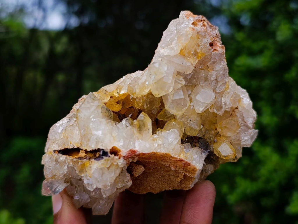 Natural Limonite Quartz Cluster with Goethite Inclusions x 12 From Solwezi, Zambia - Toprock Gemstones and Minerals 