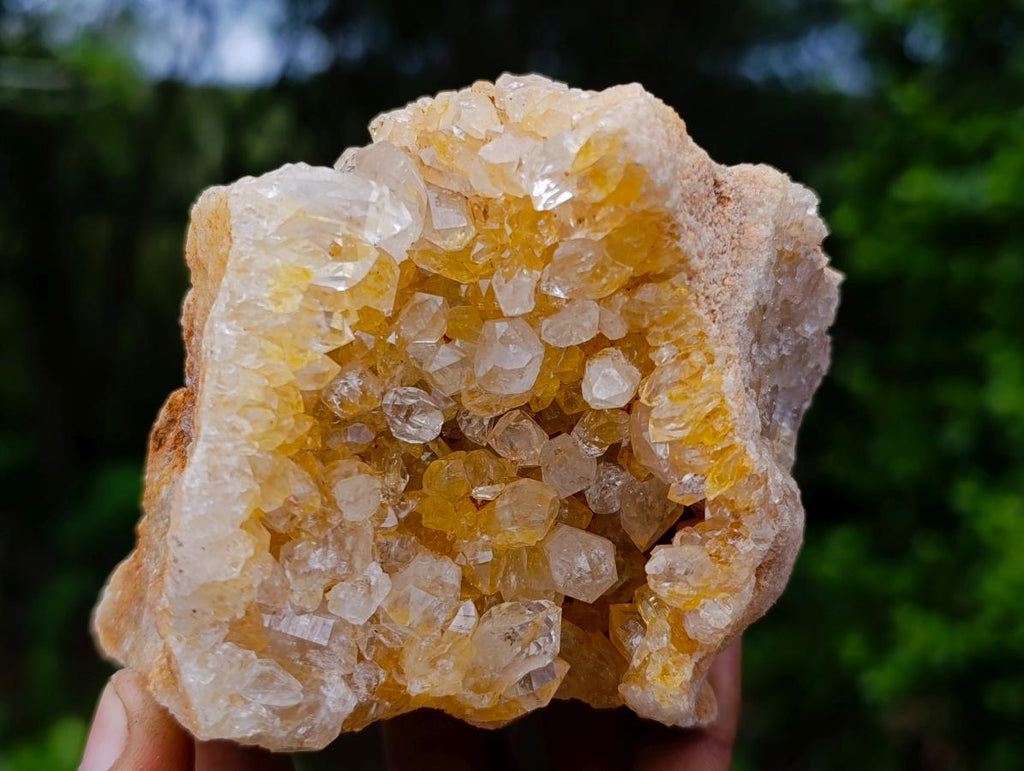Natural Limonite Quartz Cluster with Goethite Inclusions x 12 From Solwezi, Zambia - Toprock Gemstones and Minerals 