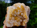 Natural Limonite Quartz Cluster with Goethite Inclusions x 12 From Solwezi, Zambia - Toprock Gemstones and Minerals 
