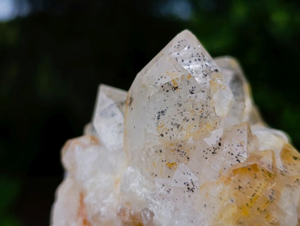 Natural Limonite Quartz Cluster with Goethite Inclusions x 12 From Solwezi, Zambia - Toprock Gemstones and Minerals 