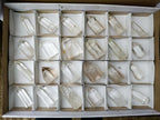 Polished Clear Quartz Display Crystals x 24 From Madagascar - Toprock Gemstones and Minerals 