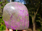 Polished Stichtite Standing Display Pieces x 4 From Barberton, South Africa - Toprock Gemstones and Minerals 