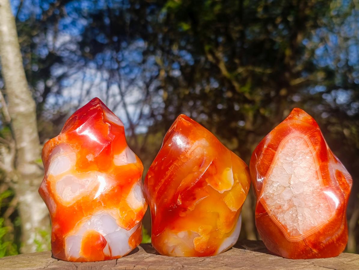 Polished Carnelian Agate Gemstone Flames x 3 From Madagascar - Toprock Gemstones and Minerals 