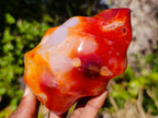 Polished Carnelian Agate Gemstone Flames x 3 From Madagascar - Toprock Gemstones and Minerals 