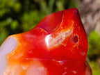 Polished Carnelian Agate Gemstone Flames x 3 From Madagascar - Toprock Gemstones and Minerals 