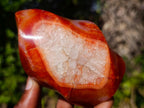 Polished Carnelian Agate Gemstone Flames x 3 From Madagascar - Toprock Gemstones and Minerals 