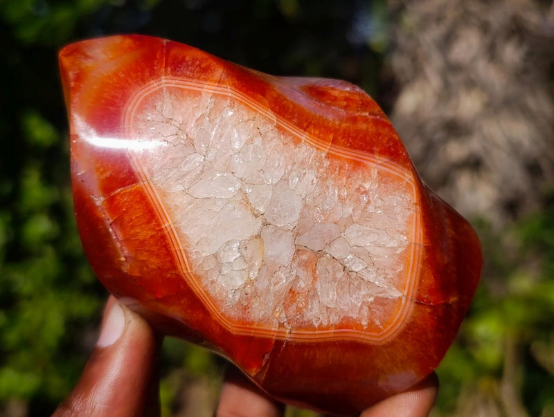 Polished Carnelian Agate Gemstone Flames x 3 From Madagascar - Toprock Gemstones and Minerals 
