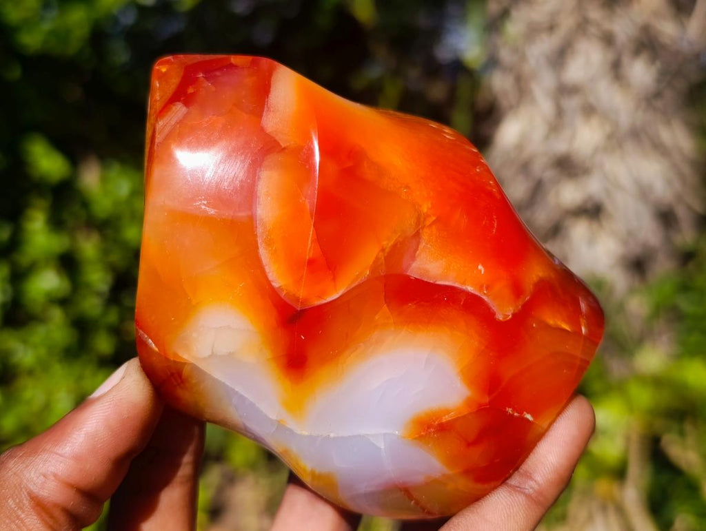 Polished Carnelian Agate Gemstone Flames x 3 From Madagascar - Toprock Gemstones and Minerals 