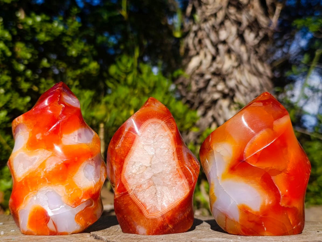 Polished Carnelian Agate Gemstone Flames x 3 From Madagascar - Toprock Gemstones and Minerals 