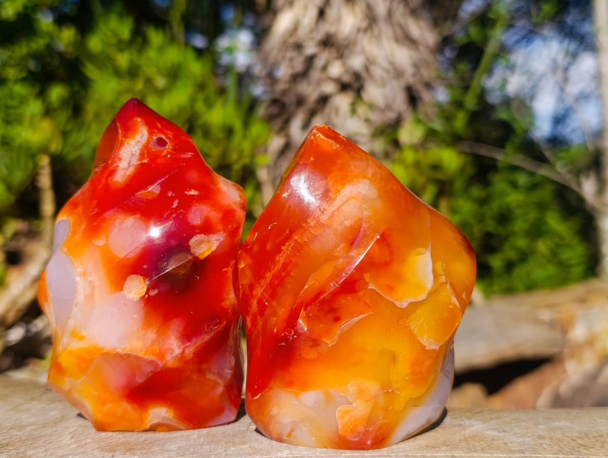 Polished Carnelian Agate Gemstone Flames x 3 From Madagascar - Toprock Gemstones and Minerals 