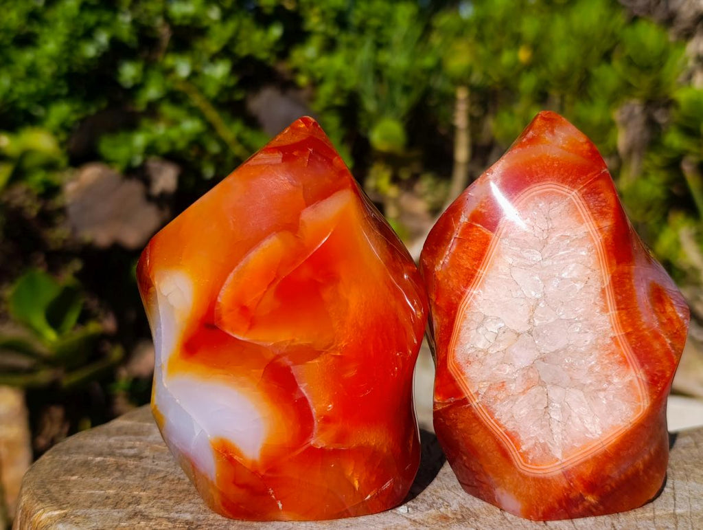 Polished Carnelian Agate Gemstone Flames x 3 From Madagascar - Toprock Gemstones and Minerals 