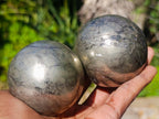 Polished Basalt Pharaoh Stone Spheres x 2 From Iron Duke Mine, Zimbabwe - Toprock Gemstones and Minerals 