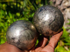 Polished Basalt Pharaoh Stone Spheres x 2 From Iron Duke Mine, Zimbabwe - Toprock Gemstones and Minerals 