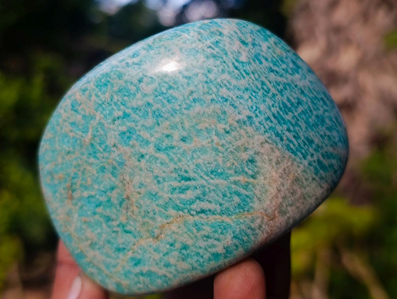 Polished Amazonite Standing Display Pieces and Free Forms x 12 From Madagascar - Toprock Gemstones and Minerals 