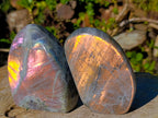 Polished Rare Purple Sunset Flash Labradorite Standing Display Pieces x 2 From Madagascar - Toprock Gemstones and Minerals 