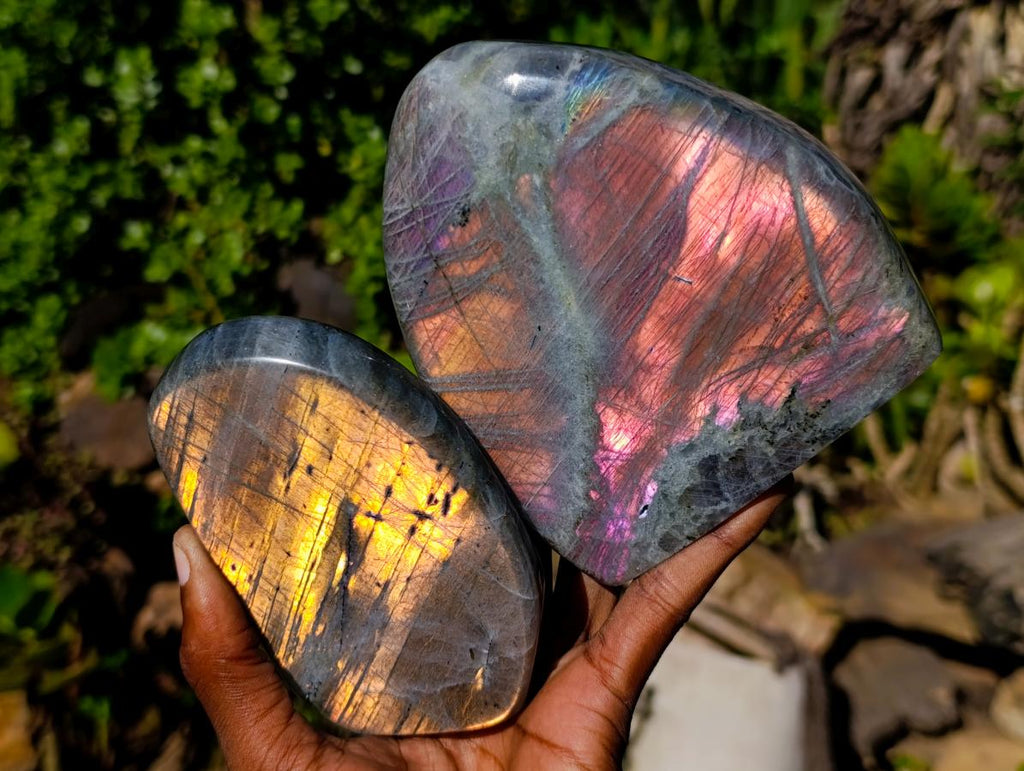Polished Rare Purple Sunset Flash Labradorite Standing Display Pieces x 2 From Madagascar - Toprock Gemstones and Minerals 