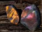 Polished Rare Purple Sunset Flash Labradorite Standing Display Pieces x 2 From Madagascar - Toprock Gemstones and Minerals 