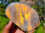 Polished Rare Purple Sunset Flash Labradorite Standing Display Pieces x 2 From Madagascar - Toprock Gemstones and Minerals 