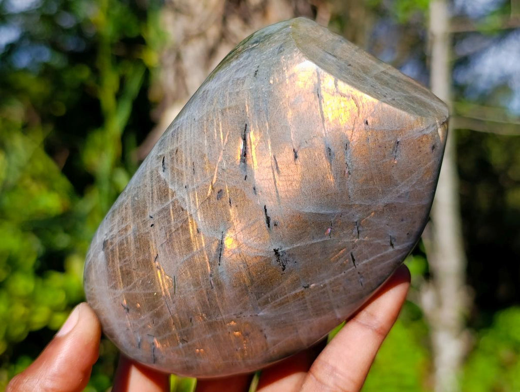 Polished Rare Purple Sunset Flash Labradorite Standing Display Pieces x 2 From Madagascar - Toprock Gemstones and Minerals 