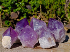 Polished Jacaranda Amethyst Crystals x 6 From Mumbwa, Zambia - Toprock Gemstones and Minerals 