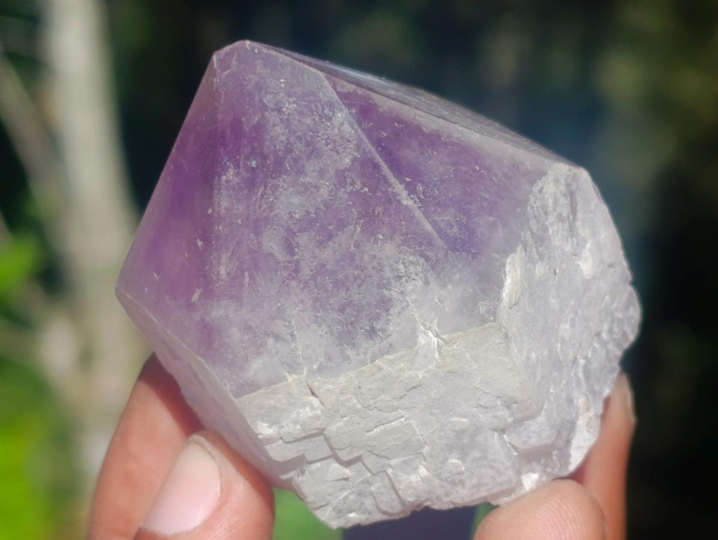 Polished Jacaranda Amethyst Crystals x 6 From Mumbwa, Zambia - Toprock Gemstones and Minerals 