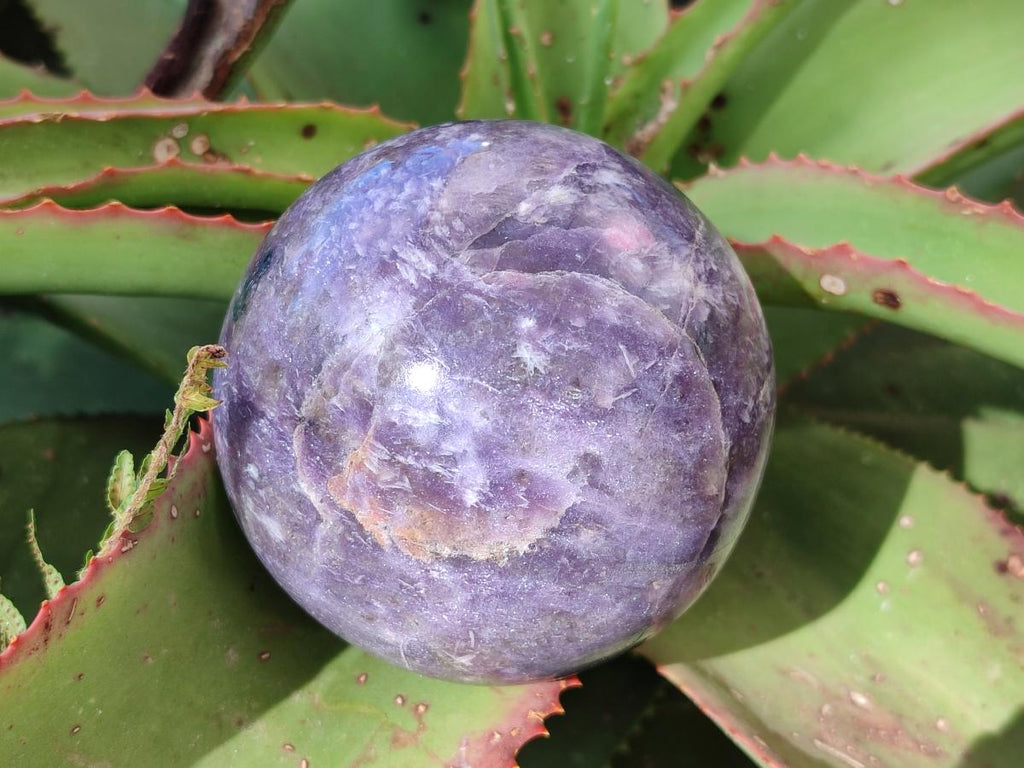Polished Lepidolite Spheres x 2 From Ambatondrazaka, Madagascar - Toprock Gemstones and Minerals 