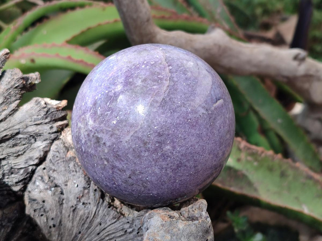 Polished Lepidolite Spheres x 2 From Ambatondrazaka, Madagascar - Toprock Gemstones and Minerals 