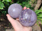 Polished Lepidolite Spheres x 2 From Ambatondrazaka, Madagascar - Toprock Gemstones and Minerals 