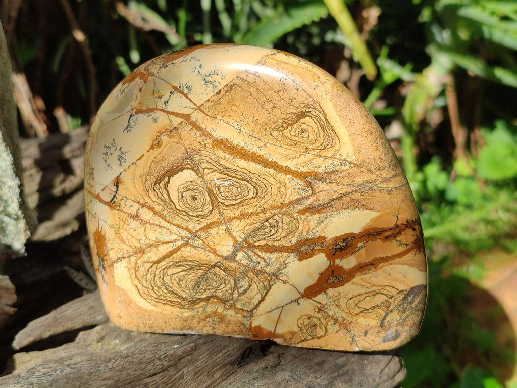 Polished Picture Stone Jasper Standing Display Pieces x 2 From Ais-Ais, Namibia - Toprock Gemstones and Minerals 