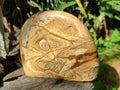 Polished Picture Stone Jasper Standing Display Pieces x 2 From Ais-Ais, Namibia - Toprock Gemstones and Minerals 