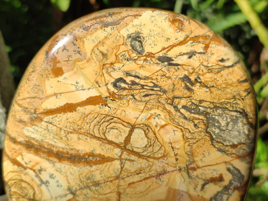 Polished Picture Stone Jasper Standing Display Pieces x 2 From Ais-Ais, Namibia - Toprock Gemstones and Minerals 