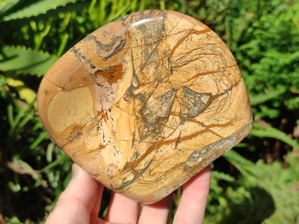 Polished Picture Stone Jasper Standing Display Pieces x 2 From Ais-Ais, Namibia - Toprock Gemstones and Minerals 