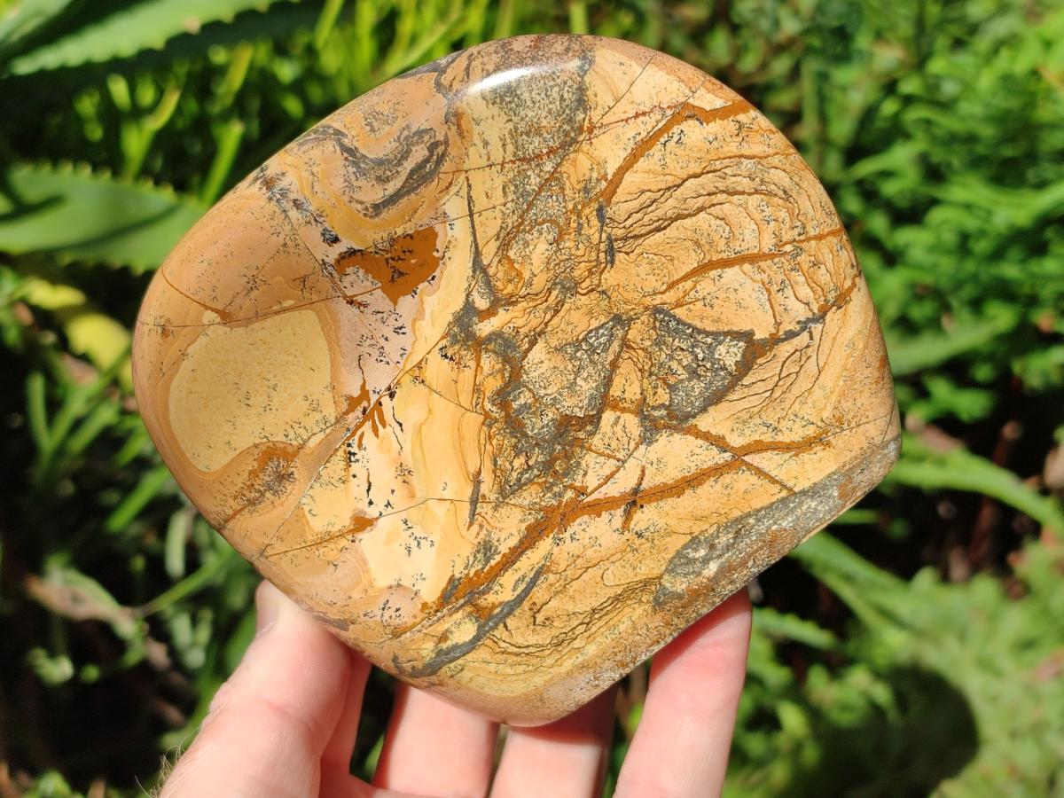 Polished Picture Stone Jasper Standing Display Pieces x 2 From Ais-Ais, Namibia - Toprock Gemstones and Minerals 