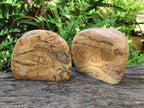 Polished Picture Stone Jasper Standing Display Pieces x 2 From Ais-Ais, Namibia - Toprock Gemstones and Minerals 
