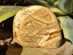 Polished Picture Stone Jasper Standing Display Pieces x 2 From Ais-Ais, Namibia - Toprock Gemstones and Minerals 