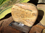 Polished Picture Stone Jasper Standing Display Pieces x 2 From Ais-Ais, Namibia - Toprock Gemstones and Minerals 