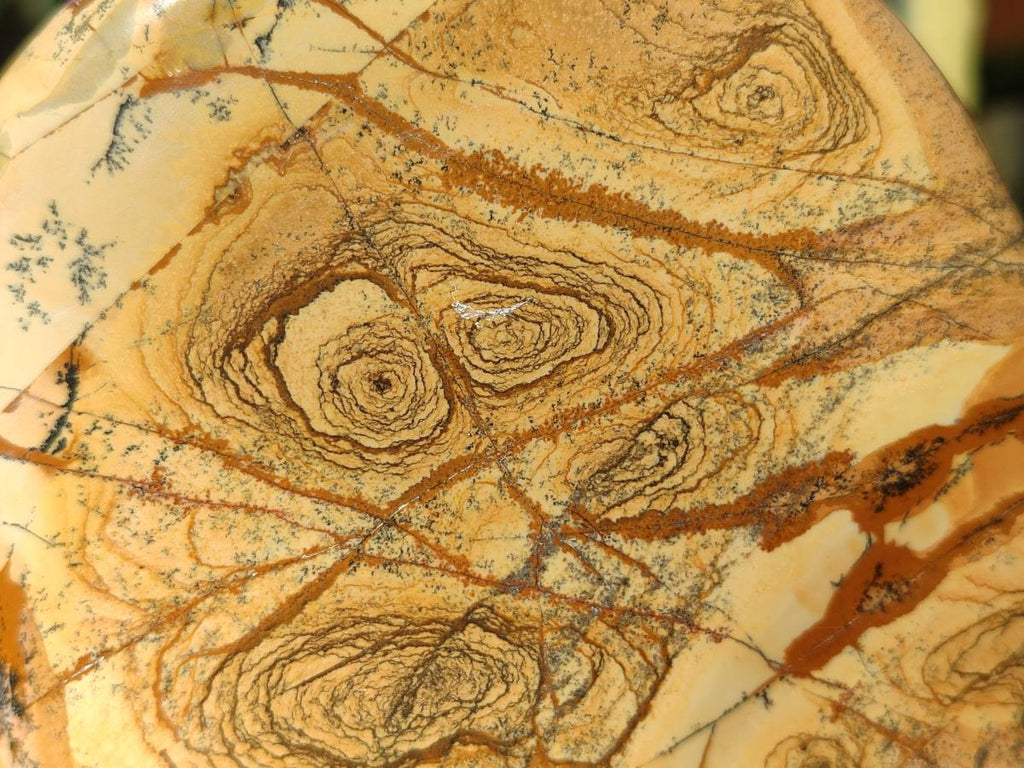 Polished Picture Stone Jasper Standing Display Pieces x 2 From Ais-Ais, Namibia - Toprock Gemstones and Minerals 