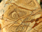 Polished Picture Stone Jasper Standing Display Pieces x 2 From Ais-Ais, Namibia - Toprock Gemstones and Minerals 