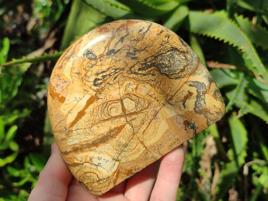 Polished Picture Stone Jasper Standing Display Pieces x 2 From Ais-Ais, Namibia - Toprock Gemstones and Minerals 