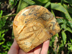 Polished Picture Stone Jasper Standing Display Pieces x 2 From Ais-Ais, Namibia - Toprock Gemstones and Minerals 