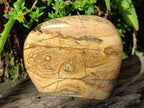 Polished Picture Stone Jasper Standing Display Pieces x 2 From Ais-Ais, Namibia - Toprock Gemstones and Minerals 