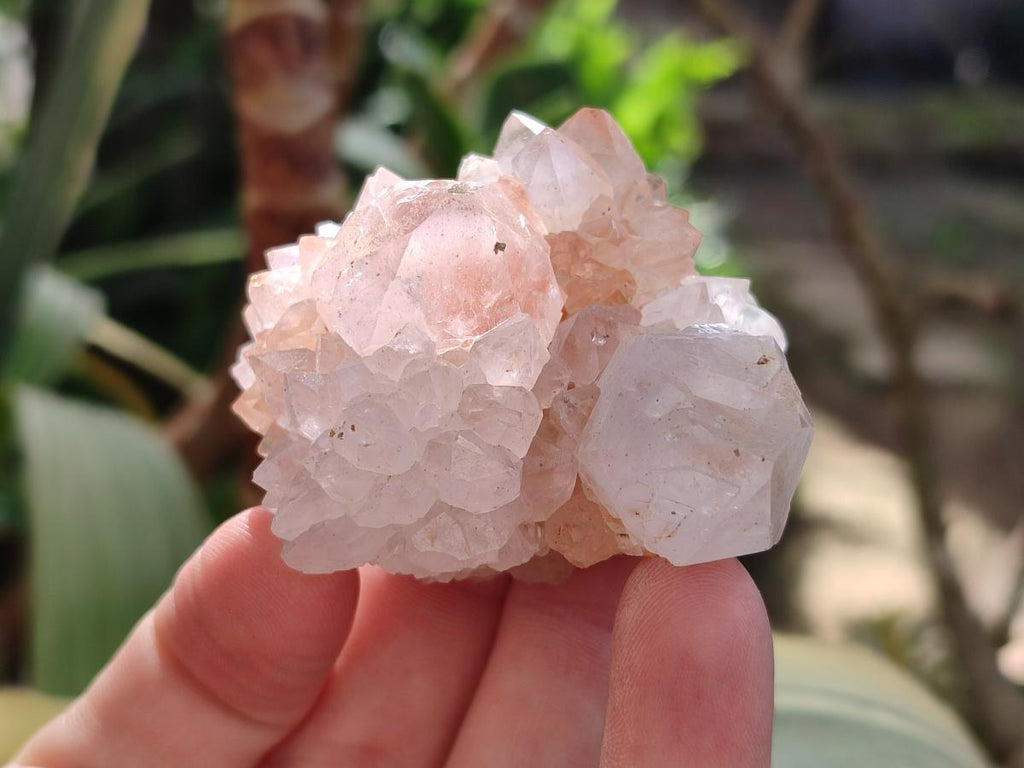 Natural Lilac Spirit Amethyst Clusters x 12 From Boekenhouthoek, South Africa - Toprock Gemstones and Minerals 
