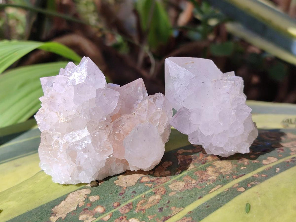 Natural Lilac Spirit Amethyst Clusters x 12 From Boekenhouthoek, South Africa - Toprock Gemstones and Minerals 