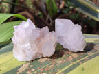 Natural Lilac Spirit Amethyst Clusters x 12 From Boekenhouthoek, South Africa - Toprock Gemstones and Minerals 