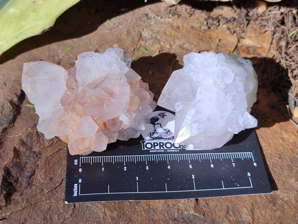 Natural Lilac Spirit Amethyst Clusters x 12 From Boekenhouthoek, South Africa - Toprock Gemstones and Minerals 