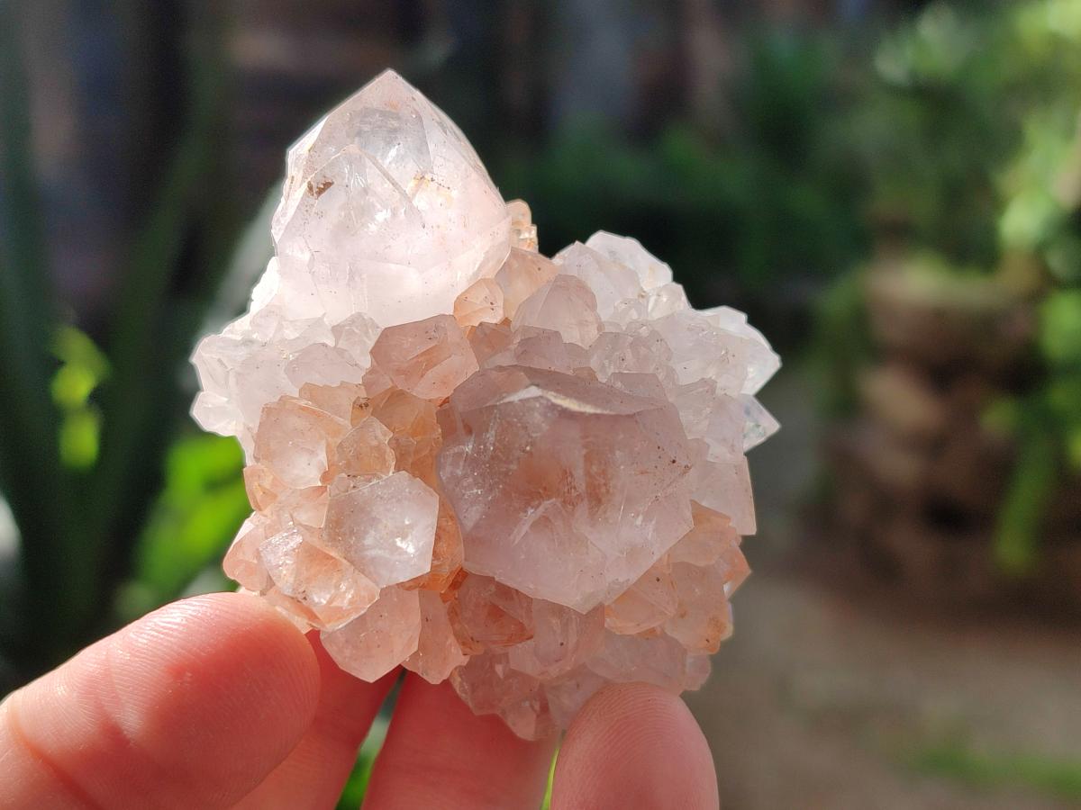 Natural Lilac Spirit Amethyst Clusters x 12 From Boekenhouthoek, South Africa - Toprock Gemstones and Minerals 