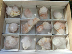 Natural Lilac Spirit Amethyst Clusters x 12 From Boekenhouthoek, South Africa - Toprock Gemstones and Minerals 