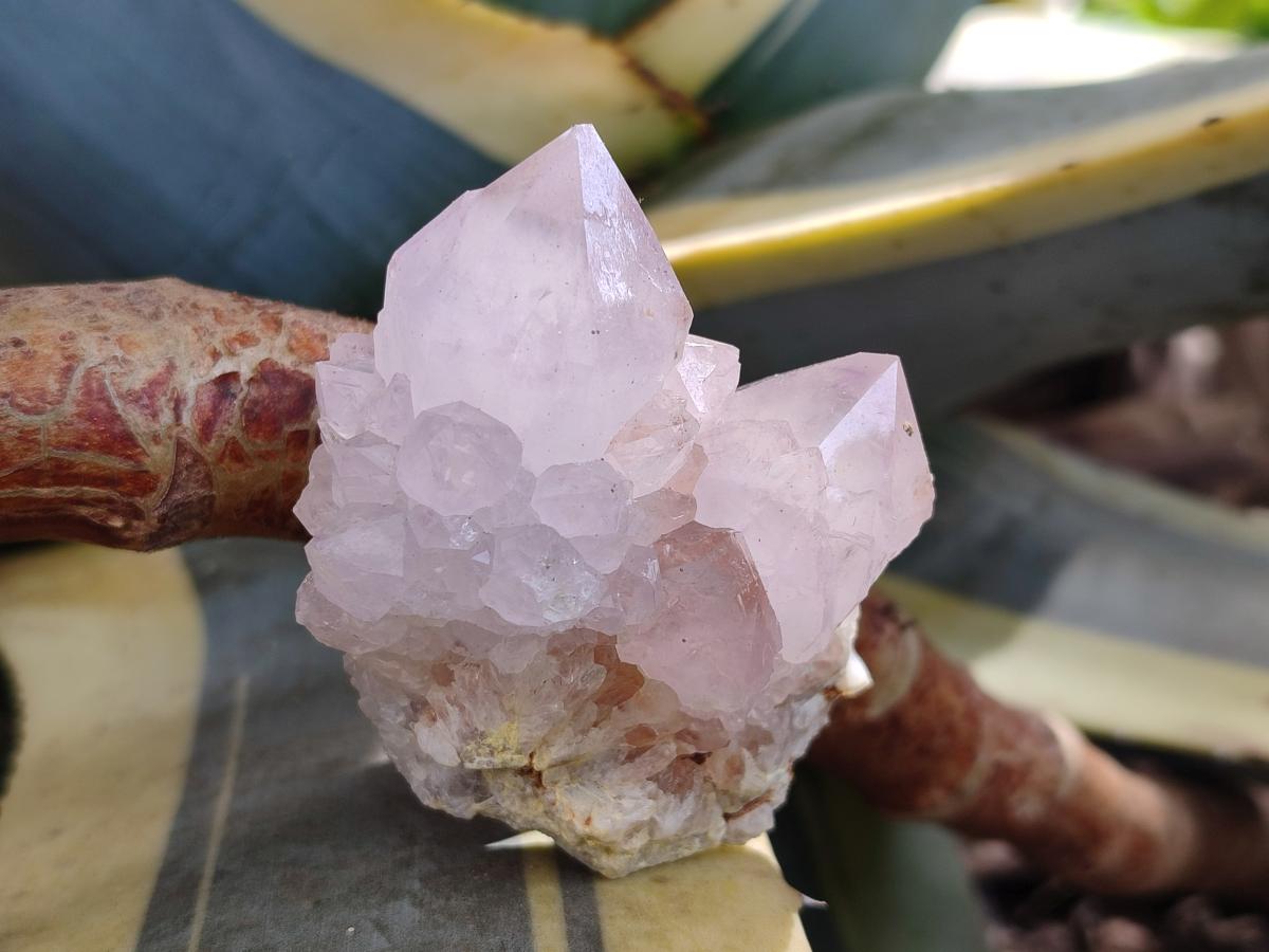 Natural Lilac Spirit Amethyst Clusters x 12 From Boekenhouthoek, South Africa - Toprock Gemstones and Minerals 